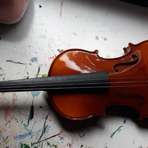 A Skylark Brand Violin
